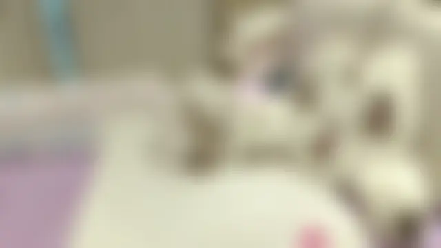 Kiwuvurfovoのウェブカメラショー