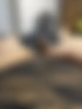 valenthottie: вебкам-шоу