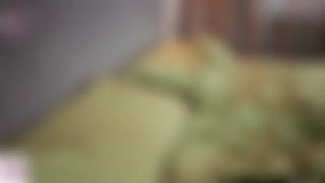 Czat XXX na żywo – ElvinaRose