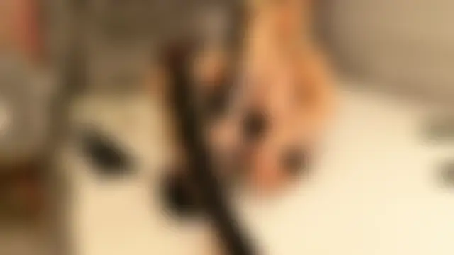 Webkamerová show MeganXDesire