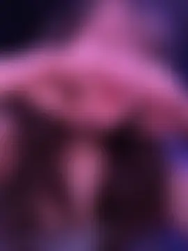 ห้องแชทสดของ Solo_yoss