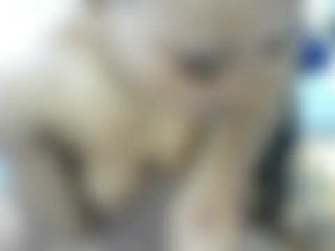 Talisha_baby254 ওয়েবক্যাম শো