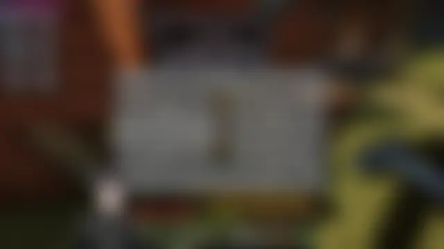 Pui-Ch 网络视讯表演