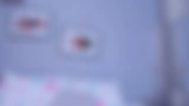 PauleteW10 웹캠 쇼