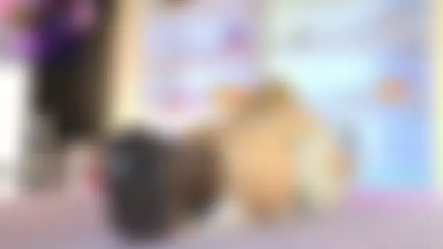 عرض كام ChiaraLewis