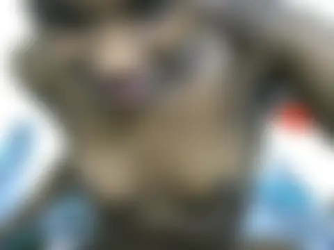 Sexxieshanty – Live XXX-chat