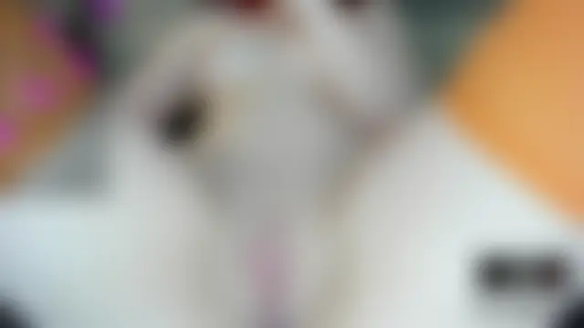 Czat XXX na żywo – kisssiiik