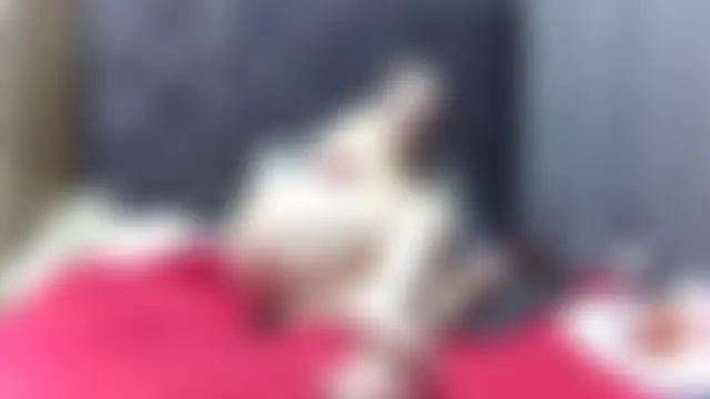 NonaDiamond Webcam show