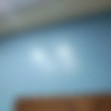 Show de webcam de sanayabose7