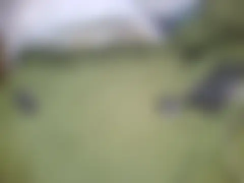 Вебкам-шоу cabecaoegreluda