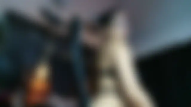 Czat XXX na żywo – AlexHoe_