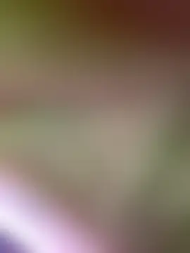 Show modela sophzz na web-kameri