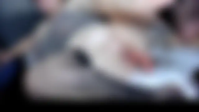 cindybbwsquirt Webcamshow