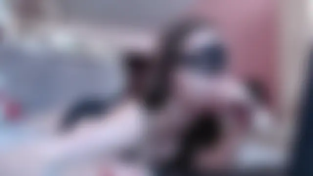 A2ure 现场XXX聊天