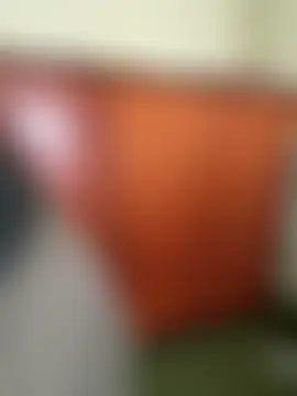 Sunbelxx Webcam show