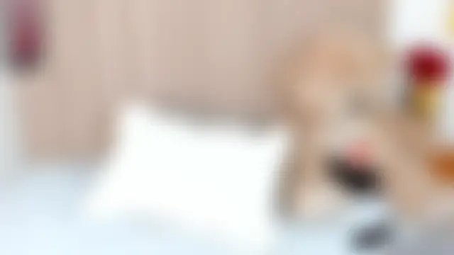 _seelenan Webbikameraesitys