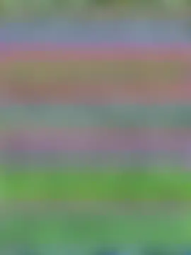 Pertunjukan Kamera Web MaverickGray