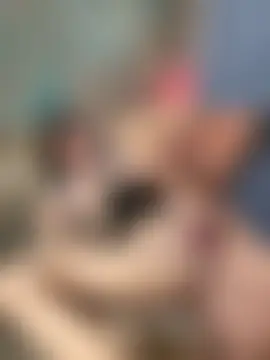 Sky_Eyes' Webcam Show