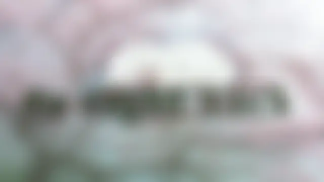 Electro_dollのウェブカメラショー