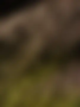 Ebinator666 Adlı Modelin Canlı Seks Kamerası Şovu