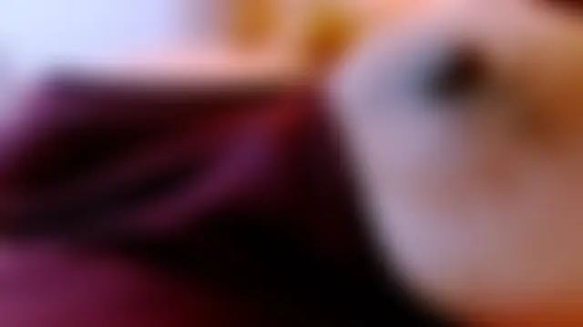 عرض كام Honey_Lucy1