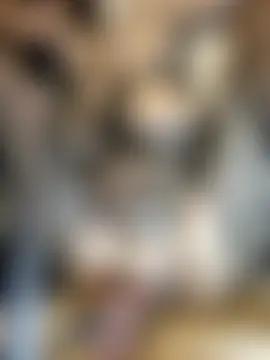 YEAG-QQのウェブカメラショー