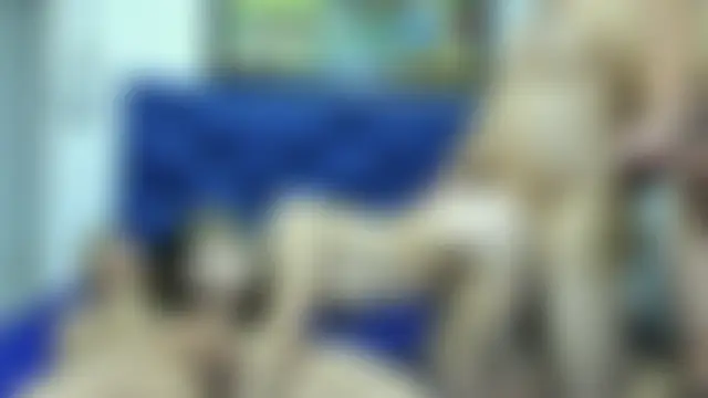 CamilaGirlAndTwoBoy: διαδικτυακό σόου στην κάμερα