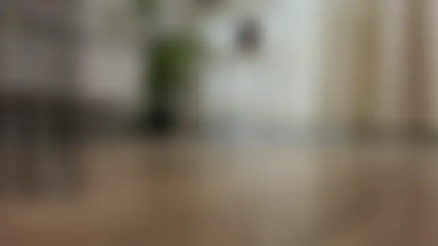 Show webcam de MaraButtrey