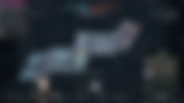 Pui-Chのウェブカメラショー