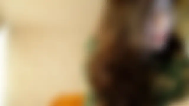 BonitaZinke 即時 XXX 聊天