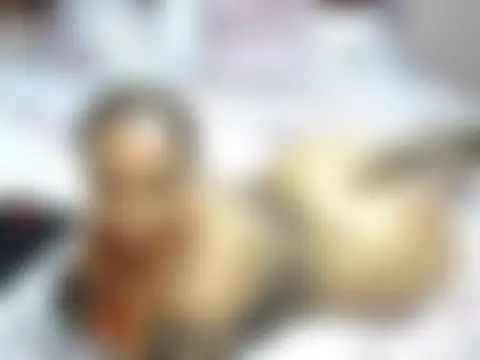 عرض كام BlaqRosexox