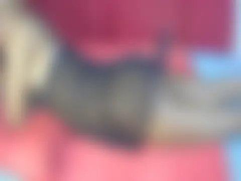 portiax élő XXX-chatje