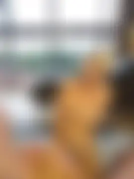 MissLMrJ: вебкам-шоу