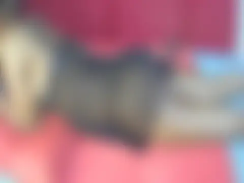 portiax – Naživo XXX chat