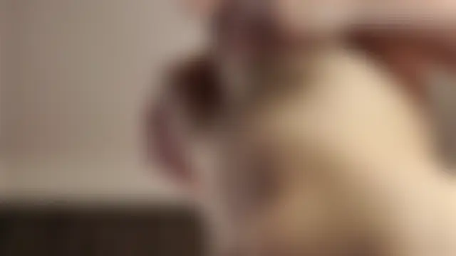 KirstinMcgeady 现场XXX聊天