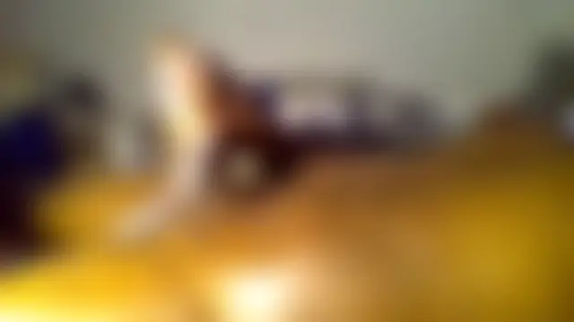 JezOne555: вебкам-шоу