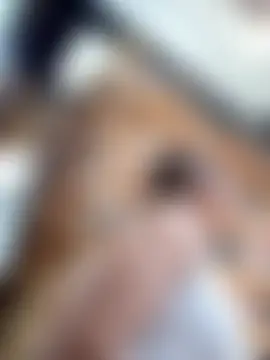 alanna6950's Live XXX Chat