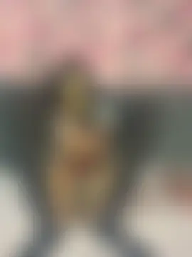 Ines-z 라이브 섹스 캠 쇼