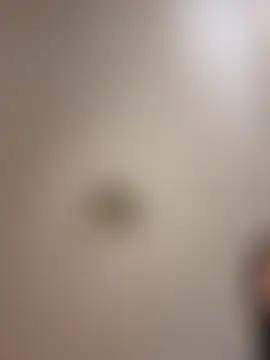 _Alya_ – live chatrum