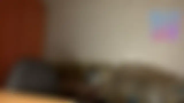 عرض كام SageFennell