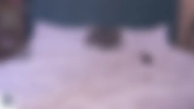 Chat +18 de LisanBrown ao vivo