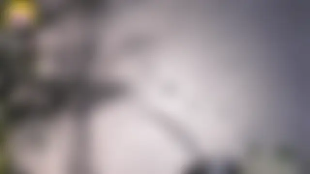 Show de webcam de EdlinHargus