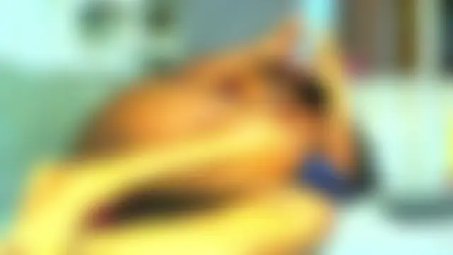 عرض كام _GENEXYS_