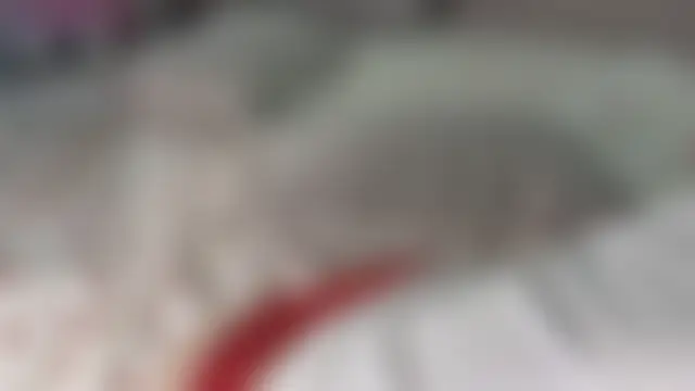 Show webcam de k10ko