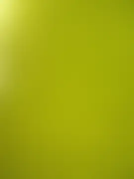 Show de Villageanuty na webcam