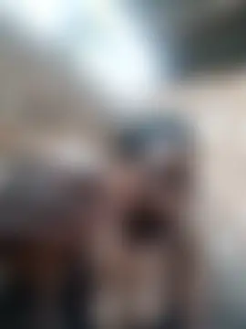 Rollz_jo Webcam-Show