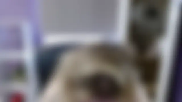 Živý XXX chat Zoey_Erotic