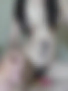 USA_Queen_Reshun Webbikameraesitys