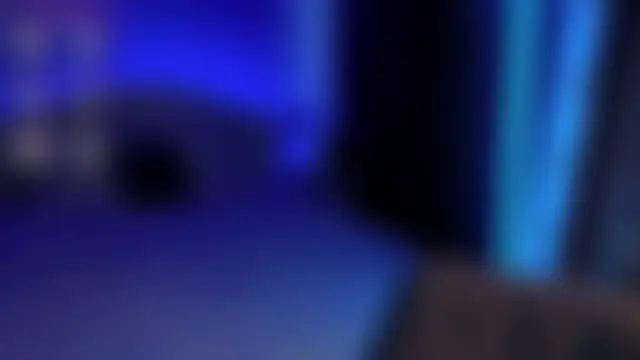 LumMinaのウェブカメラショー