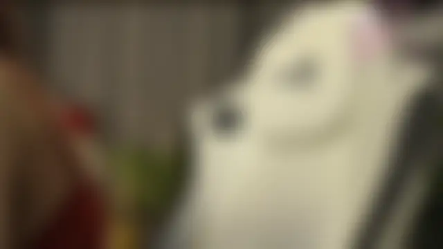 Show webcam de Megany